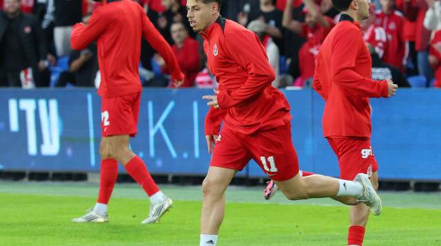 סתיו טוריאל (צילום: אודי ציטיאט)