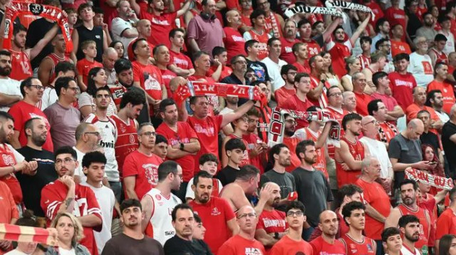  (צילום: ברני ארדוב)