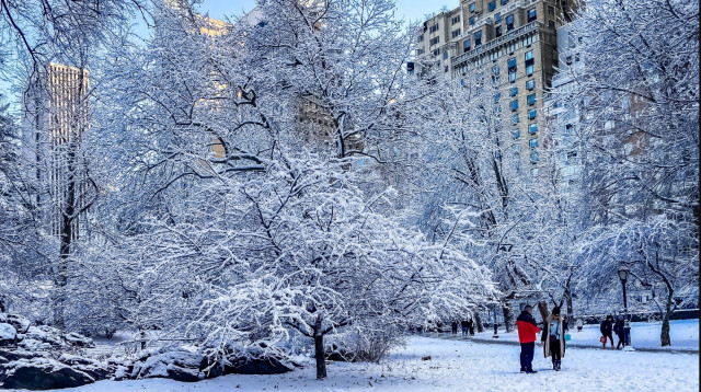 סנטרל פארק בשלג (צילום: רשתות חברתיות, שימוש לפי סעיף 27 א')