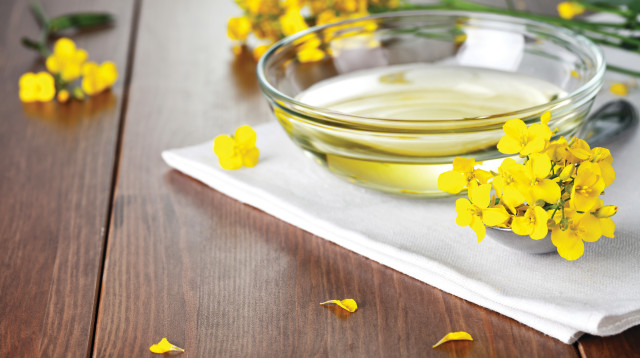 שמן קנולה (צילום: אינגאימג')