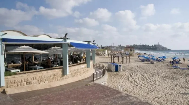 מסעדת מאנטה ריי בתל אביב (צילום: נמרוד סונדרס)