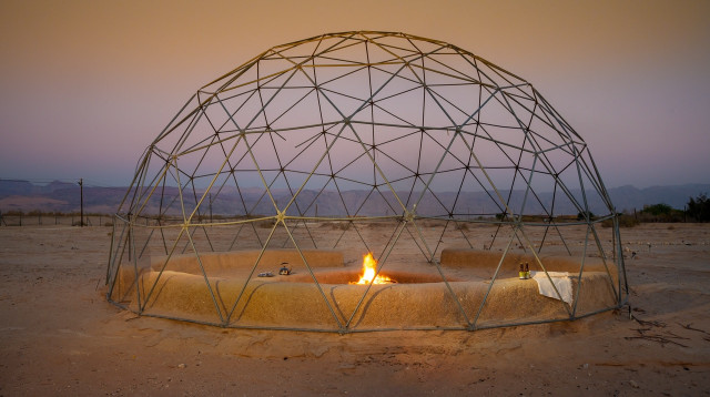 לוטן (צילום: איה בן עזרי)