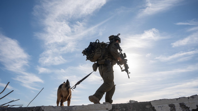 פעילות כוחות חטיבת כפיר בעזה (צילום: דובר צה"ל)