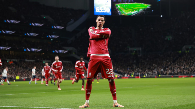 הוגו אקיטיקה, חלוץ ליברפול (צילום: GettyImages)