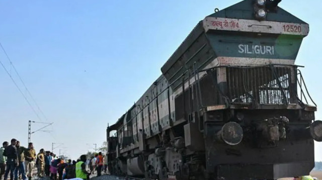 תאונת הרכבת בהודו, פגעה במספר פילים (צילום: רשתות חברתיות, שימוש לפי סעיף 27 א')