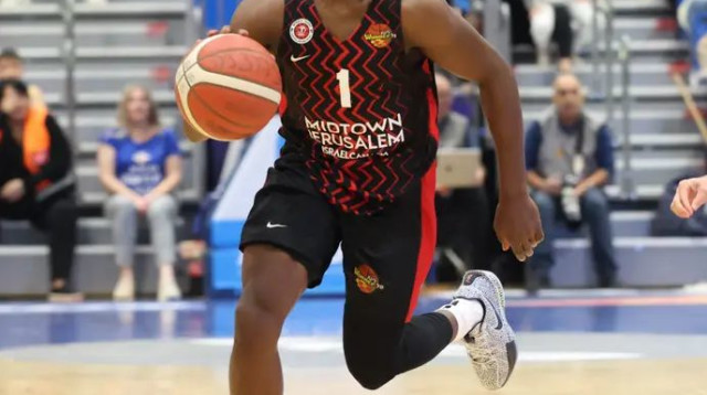 עוד ערב שגרתי. הארפר (צילום: דני מרון)