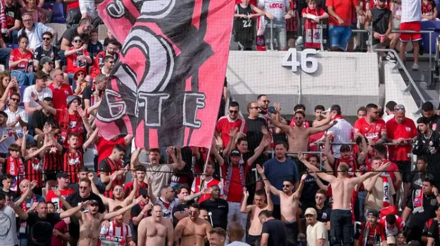 אוהדי הפועל חיפה (צילום: אריאל שלום)