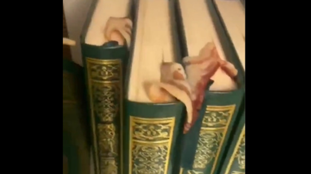 בייקון בקוראן ומזרני תפילה  (צילום: שימוש לפי סעיף 27א')