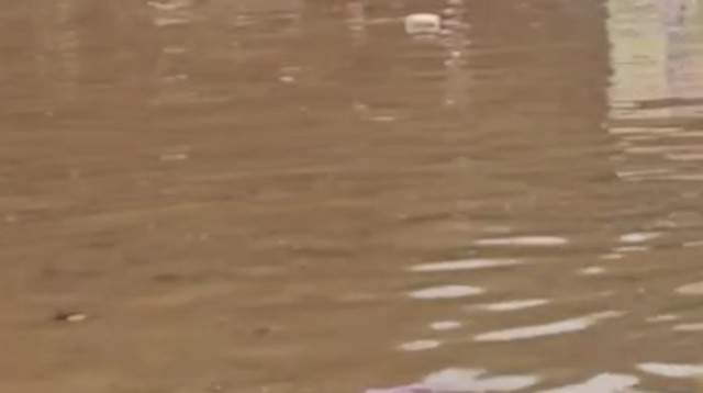 הצפה בנתניה (צילום: שימוש לפי סעיף 27א')