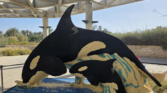 תערוכת לגו במדבריום באר שבע (צילום: ליאור עמר)