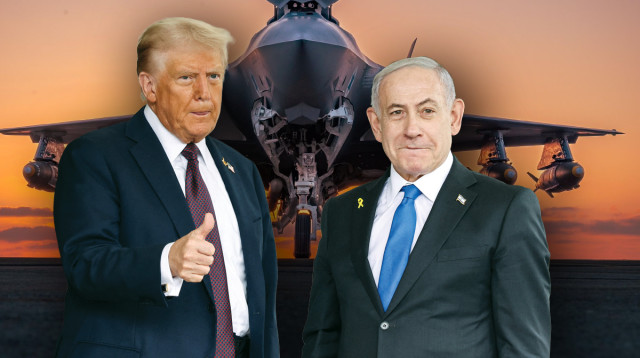 טראמפ ונתניהו (צילום: רויטרס,דובר צה"ל)