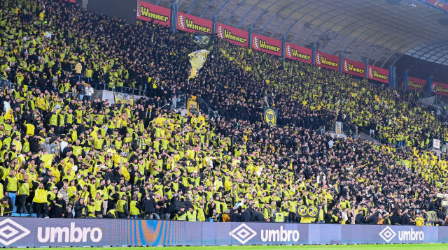 אוהדי בית"ר ירושלים (צילום: ברני ארדוב)