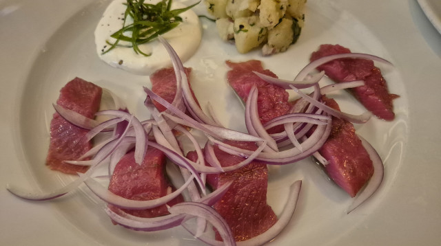 מטיאס של הבארוד (צילום: ניר קיפניס)