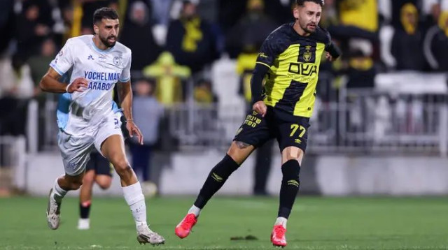  (צילום: מאור אלקסלסי)