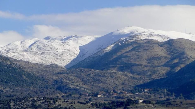 שלג בגולן (צילום: מילס סוויטות נופש)