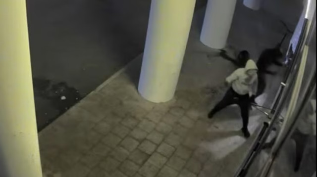 רעולי פנים משחיתים גלידריה בהרצליה (צילום: צילום מסך)