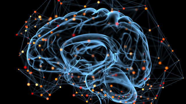 בינה מלאכותית (צילום: אינגאימג')