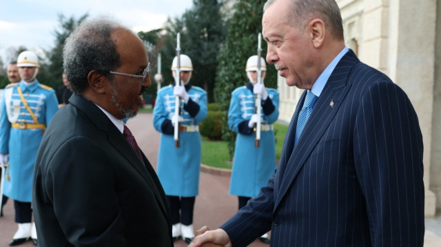 נשיא סומליה, חסן שייח' מחמוד וארדואן  (צילום: הטוויטר הרשמי של ארדואן )