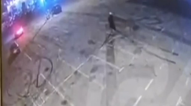 הרצח בגני יהושע (צילום: מצלמות אבטחה)