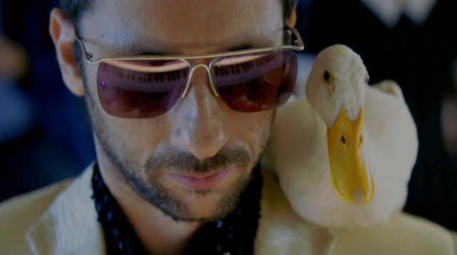 "כן" (צילום: באדיבות טרנספקס)