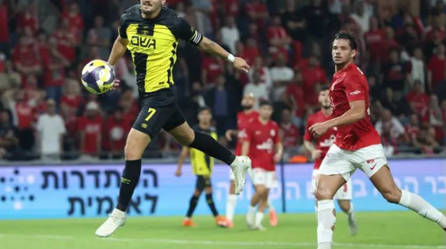  (צילום: דני מרון)