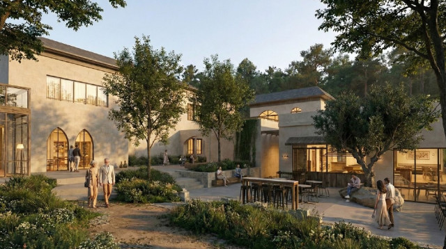 מלון ראשון בעין הוד (צילום: הדמיה וכמן אדריכלים)