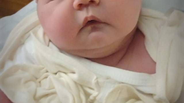 קניון (צילום: רשתות חברתיות)