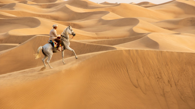 גבר רוכב על סוס במדבריות של עומאן (צילום: שאטרסטוק)
