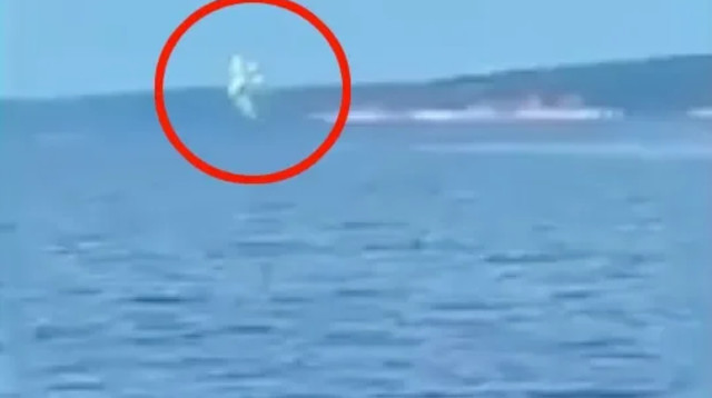 מטוס מתרסק (צילום: צילום מסך)