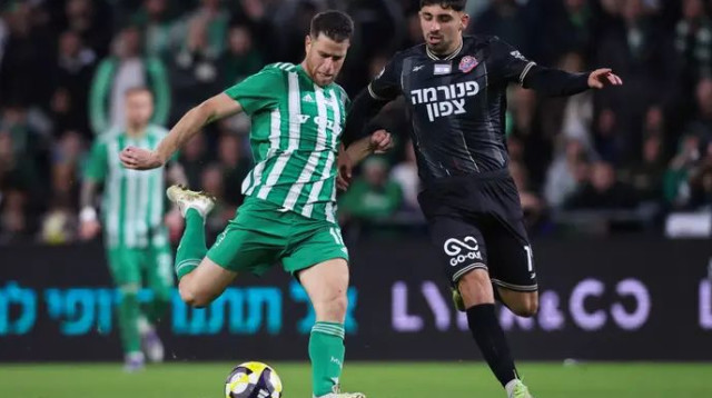 שוב פורח. מלמד (צילום: מאור אלקסלסי)