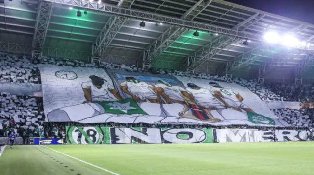 דגל הפריסה של אוהדי מכבי חיפה (צילום: מאור אלקסלסי)