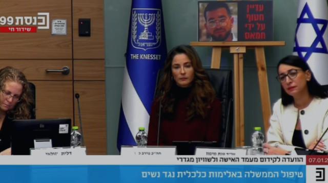 הוועדה למעמד האישה ושוויון מגדרי  (צילום: צילום מסך מתוך ערוץ הכנסת)