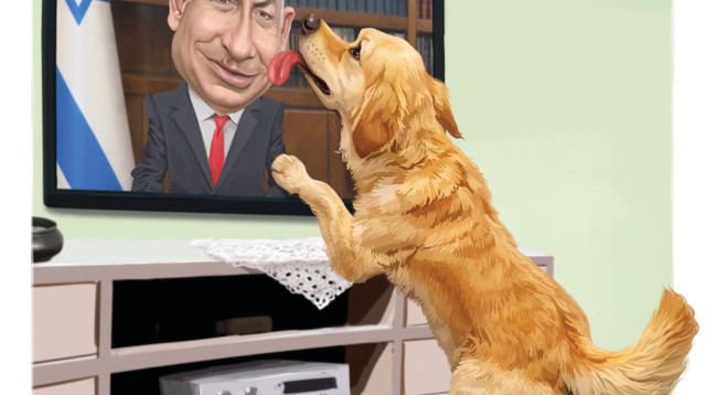 הכלב הביביסט (צילום: איור: אופיר בגון)