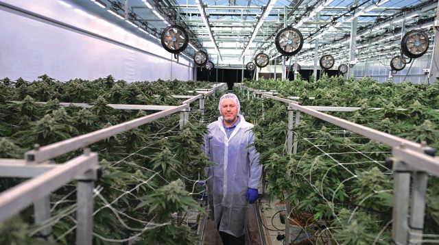 מנכ"ל קרונוס ישראל אדם וגנר  (צילום: יוסי זליגר)