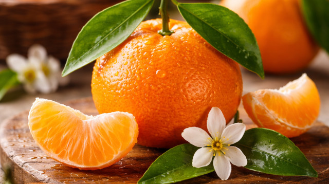 קלמנטינה (צילום: AI)