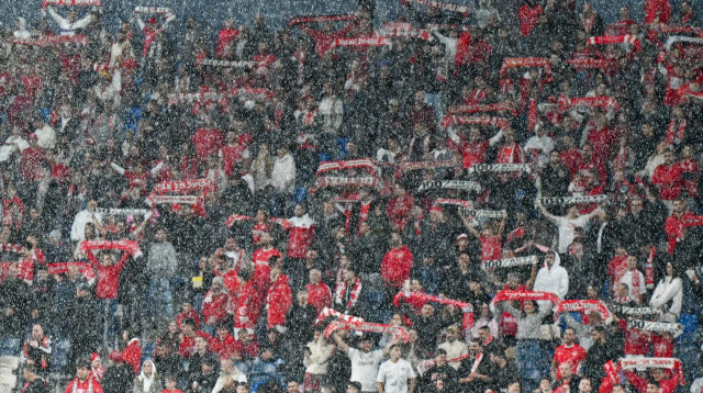 אוהדי הפועל תל אביב (צילום: ברני ארדוב)