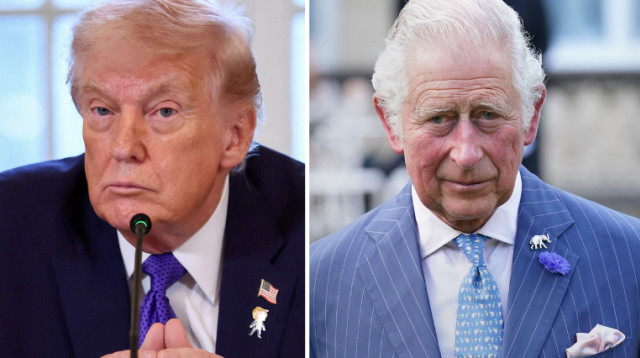 המלך צ'ארלס ודונלד טראמפ (צילום: מימין לשמאל: WPA Pool, רויטרס)