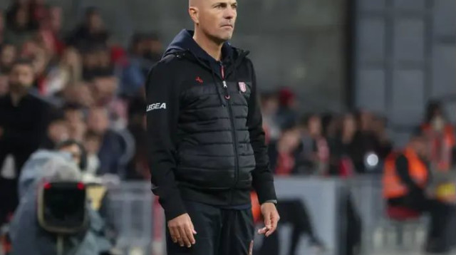 משוכה גבוהה מדי. זיו אריה (צילום: דני מרון)