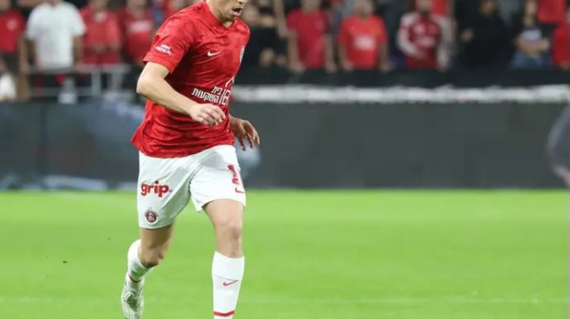  (צילום: דני מרון)