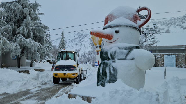 שלג באתר החרמון, חורף 2026 (צילום: אתר החרמון)
