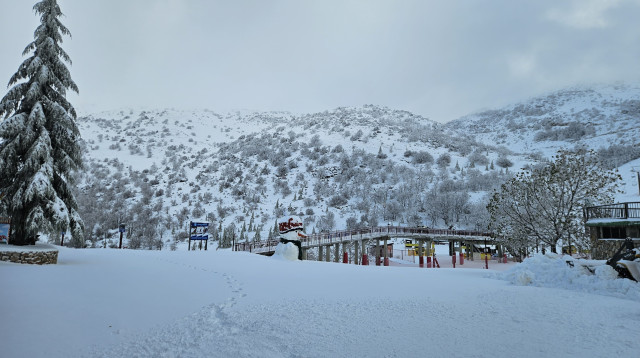 שלג באתר החרמון, חורף 2026 (צילום: אתר החרמון)