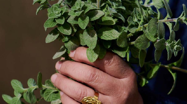 דברי ימי מטבח (צילום: דור קדמי)