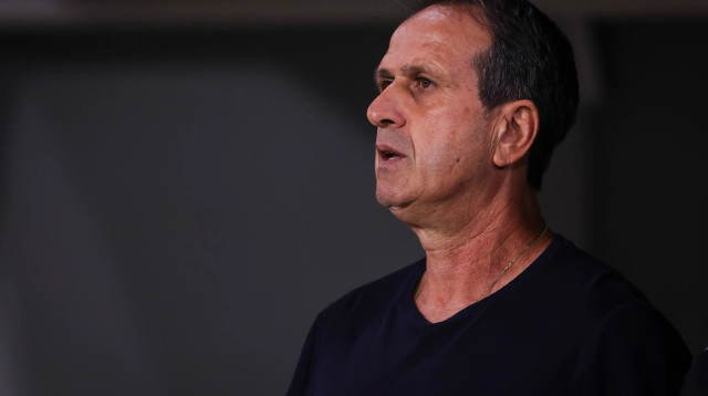 רוני לוי (צילום: מאור אלקסלסי)