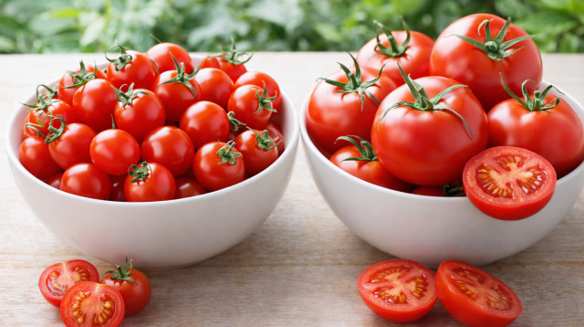 עגבניות שרי ורגילות (צילום: AI)