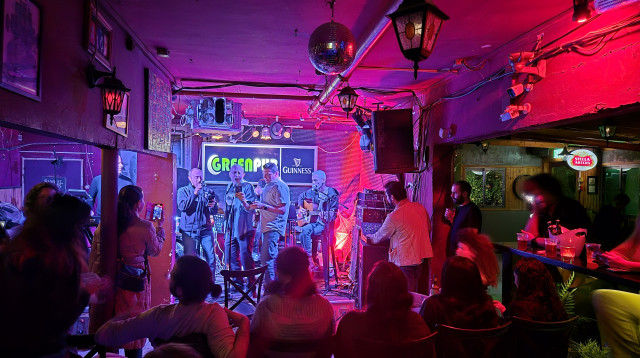 לגימה של שקמה (צילום: ניר קיפניס)