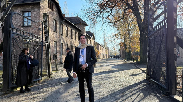  הארלי ליפמן  (צילום: יחצ)