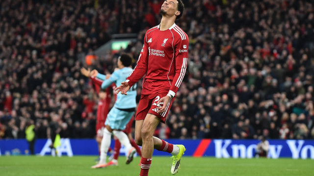 שחקן ליברפול, הוגו אקיטיקה (צילום: רויטרס)