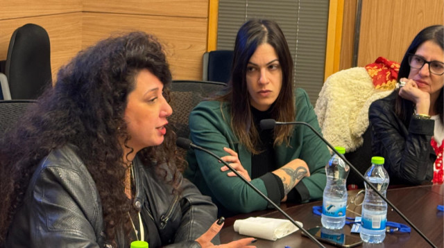 שי לי עטרי בועדה לקידום מעמד האישה (צילום: ערוץ הכנסת)