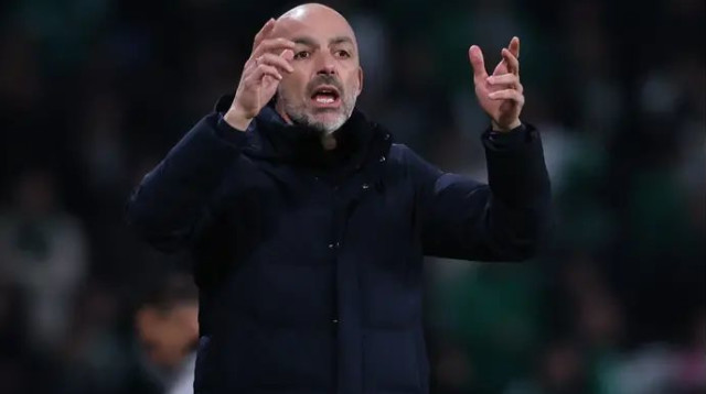 השפלה. לאזטיץ' (צילום: מאור אלקסלסי)