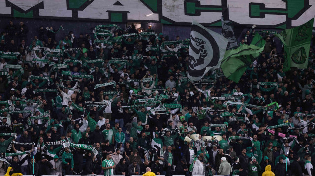 אוהדי מכבי חיפה (צילום: מאור אלקסלסי)